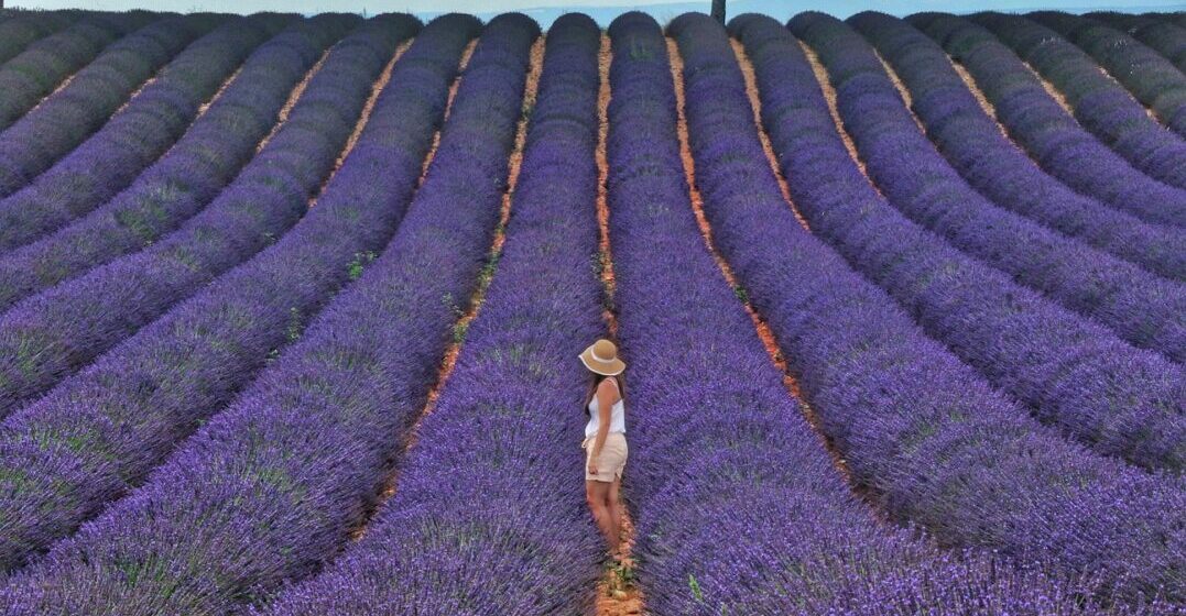 Woman spending summer in Provence - seasons in French