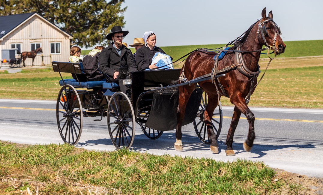 Do the Amish speak German? A guide to Pennsylvania Dutch - Lingoda